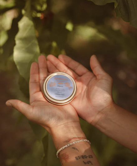 Shkweń Devil's Club & Nettle Salve
