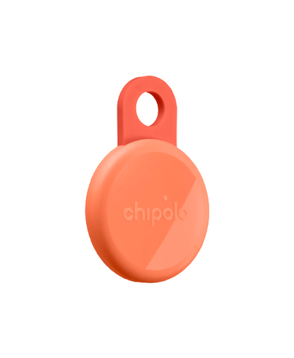 Bluetooth Loop Tracker