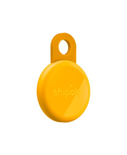 Bluetooth Loop Tracker