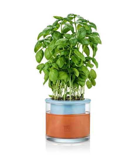 Self-Watering Planter, Small, Assorted Colours