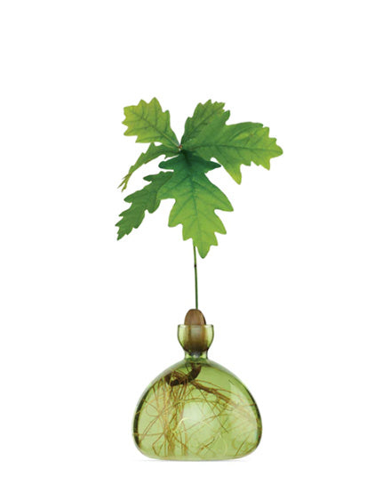 Acorn Vase