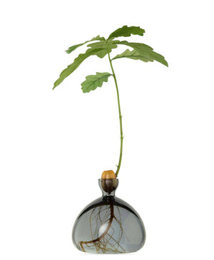 Acorn Vase