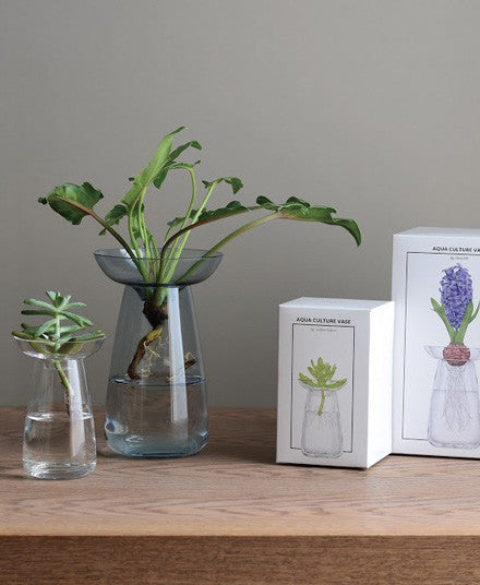 aqua culture vases