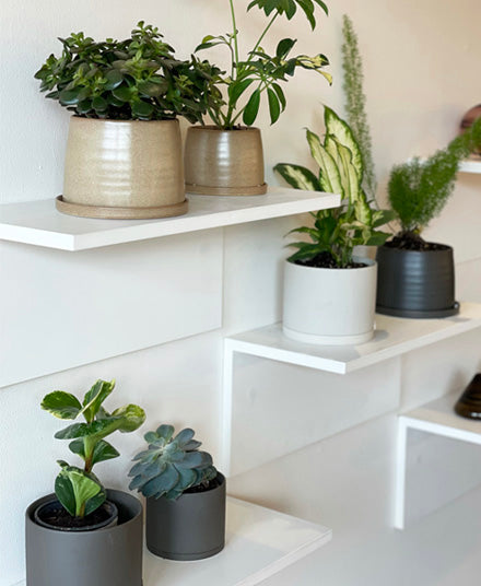 Plant Pot 191, Dark Grey