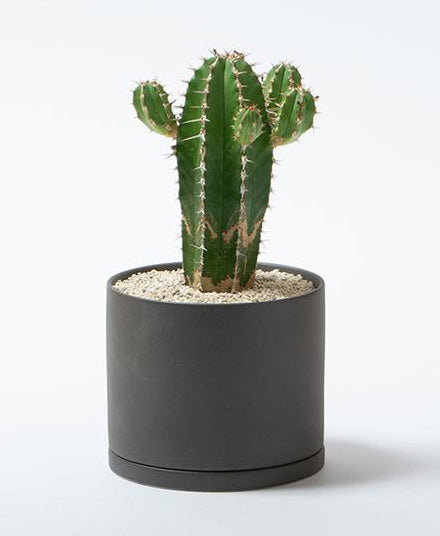 Plant Pot 191, Dark Grey