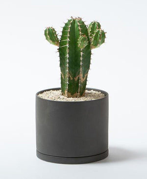 Plant Pot 191, Dark Grey