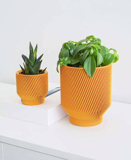mustard yellow indoor plant pot Spruce Planter, Mustard Yellow – WALRUS