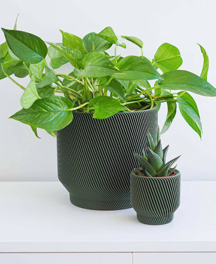 Spruce Planter, Olive Green