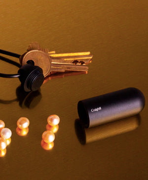 Key Capsule