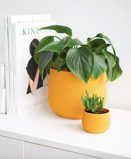 mustard colour plant pot Juniper Planter, Mustard Yellow – WALRUS